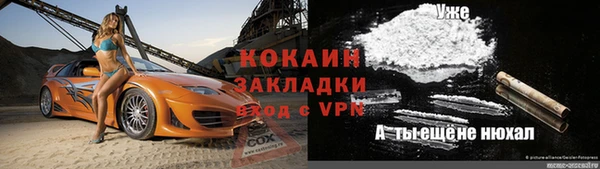 твердый Надым