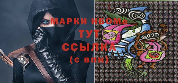 твердый Надым