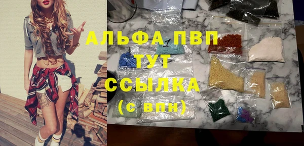 твердый Надым