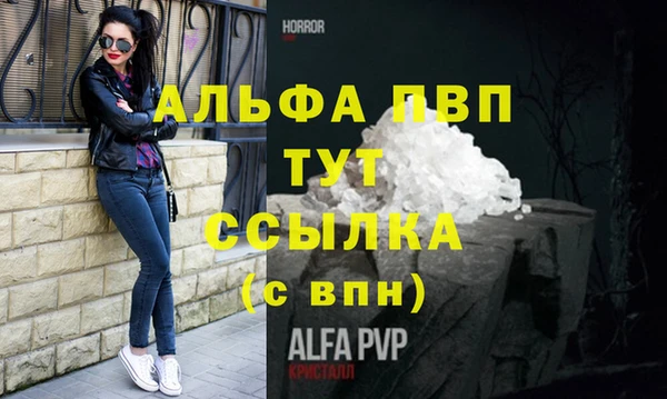 твердый Надым