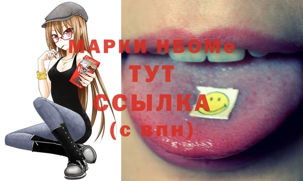 твердый Надым